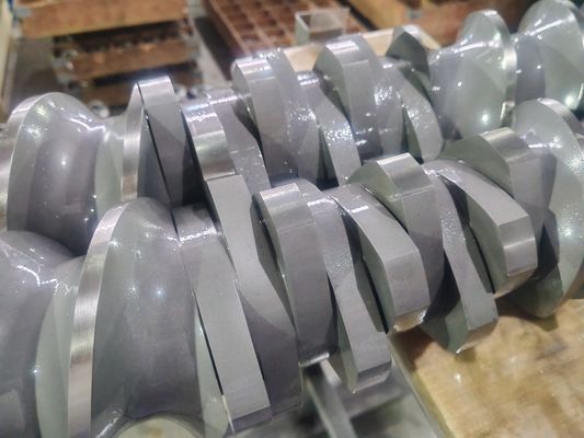 Segments de vis et cylindre d'extrudeuse à double vis Berstoff