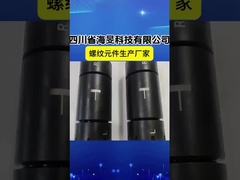 Industrie métallurgique Arbre d'extrudeuse à double vis avec enroulement interne et longueur personnalisable