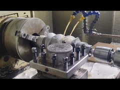 Segments de vis et cylindre d'extrudeuse à double vis Berstoff